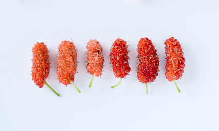Mulberry ripe sorted colorful valuable on white backgroundの写真素材