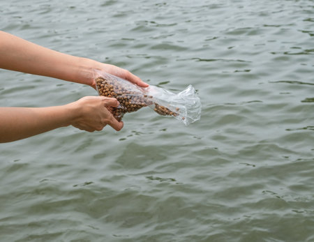 Hands women feeding fish pellets in pond