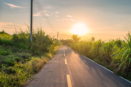 Rural road and sugar cane sideway at sunsetの写真素材
