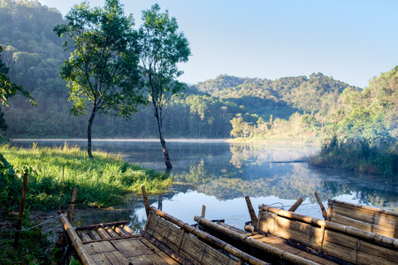 Beautiful scenery view with fog and sunlight in forest at morningの写真素材