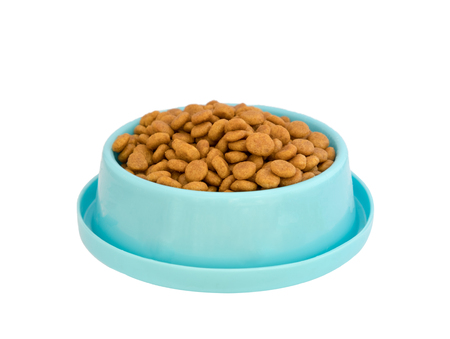 Dog food pellets in blue plastic tray,isolated on white backgroundの写真素材