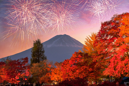 Celebration fireworks with mountain fuji over maple garden at eveningの写真素材