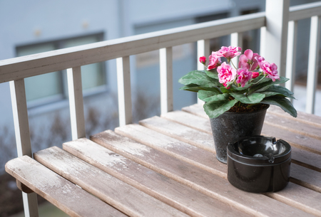 Pink flower with ceramic ashtray on wooden table at balconyの写真素材