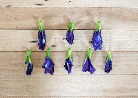 Butterfly pea, Blue pea dried flower (Clitoria ternatea L) on wooden tableの写真素材