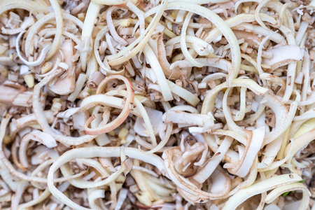 Preparation of chopped raw banana blossom of Thai food backgroundの写真素材