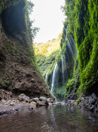 Majestic waterfall flowing on rocky cliff in tropical rainforest. Madakaripura waterfall, East Java, Indonesiaの写真素材