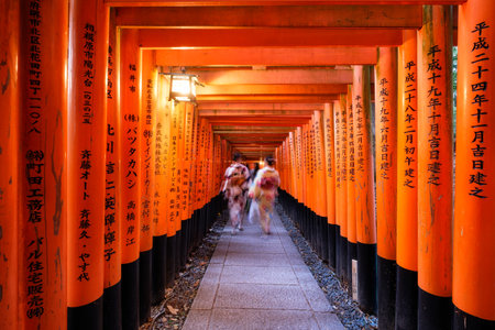 Kyoto, Japan - Nov 11 2017 : Woman dressed kimono walking in red ancient wood torii gate at Fushimi Inari shrineのeditorial素材