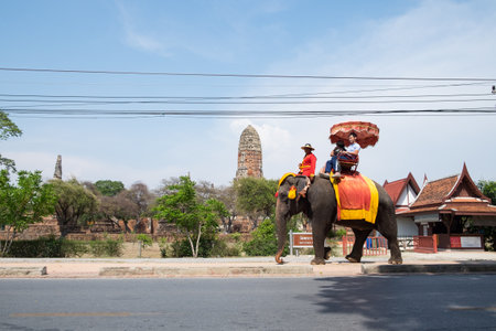 Ayutthaya,Thailand - May 09 2015 : Elephant take visitors tour the templeのeditorial素材