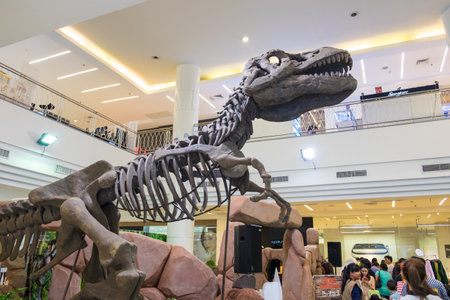 Bangkok,Thailand - Oct 17 2015 : Dinosaur skeleton showing and people watching at department storeのeditorial素材