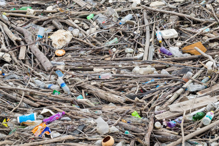 Samut Prakan,Thailand - Jan 03 2017 : Branches pile and waste plastic bottles dirty in mangrove forestのeditorial素材