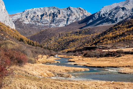 Sacred tibetan mountain with golden meadow and river in autumn