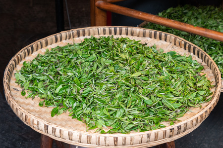 Tea leaves dry on round bamboo weave trayの写真素材