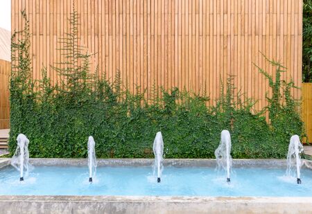 Fountains splashing on pond with wooden ivy plant wall backgroundの写真素材