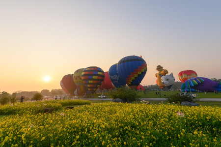 Chiang Rai, Thailand - Feb 14 2019 : Annual international balloon festival in signha parkのeditorial素材