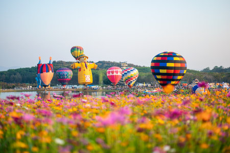 Chiang Rai, Thailand - Feb 14 2019 : Tourists traveling at colorful balloons festival on cosmos fieldのeditorial素材