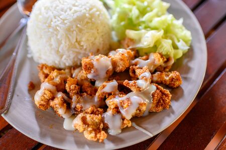 breaded crispy fried chicken with chili powder and white rice in ceramic plate on wooden tableの写真素材