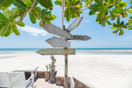Arrows wooden signboard on the beach with green plant in summer seaの写真素材