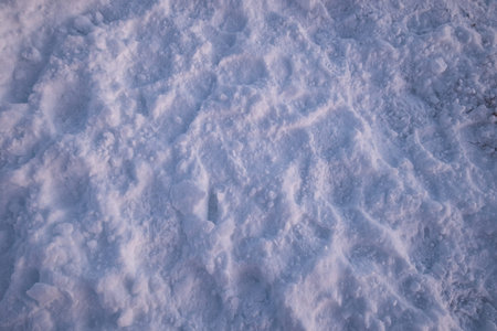 Snow covered texture in winter season for background