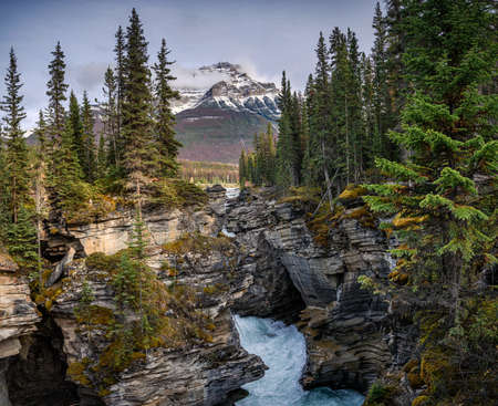 Canadian Rockies with mountain range and snow covered in autumn at Canada. Isolate on white backgroundの写真素材