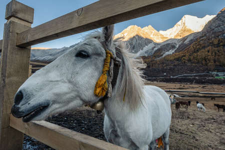 Scenery of tropical rainforest with blue sky in dam at evening. Aerial viewの写真素材
