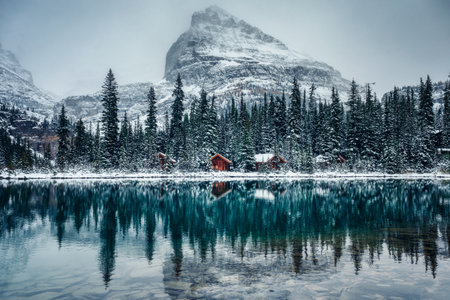 Aurora borealis over wooden cottage with smoke on snow in pine forest at Yoho national park, Canadaのeditorial素材