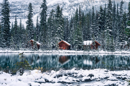 Aurora borealis over wooden cottage with smoke on snow in pine forest at Yoho national park, Canadaのeditorial素材
