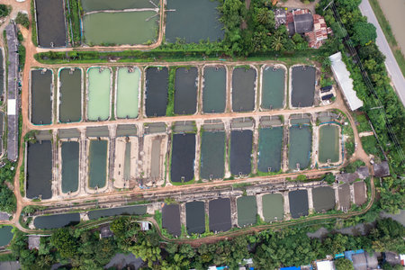 Top view of Aquaculture business of prawn and fish farm and aerator pump in dug pond at countrysideの写真素材