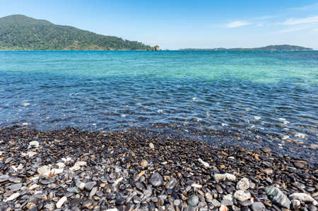 Set of tea jug with teacup and plant in vase on timber at teahouseの写真素材