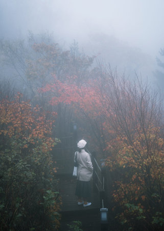 Bud green Cactus plant blooming in vase. Isolated on backgroundの写真素材