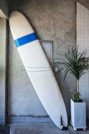 Hand female pouring hot tea on cup with flower in vase at morningの写真素材