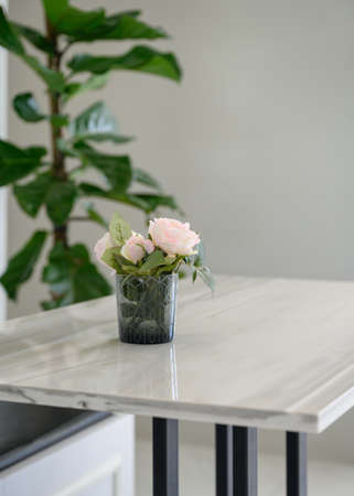 Bud green Cactus plant blooming in vase. Isolated on backgroundの写真素材