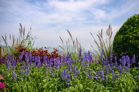 Red vintage leather sofa buttoned of textured backgroundの写真素材