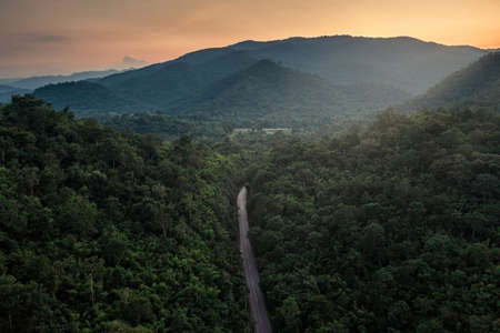 High voltage of electric poles with electric wire on corn field in countryside at eveningの写真素材