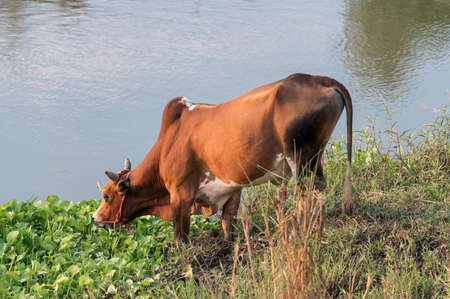 Ventilation fan installed on wall with working in the bedroomの写真素材