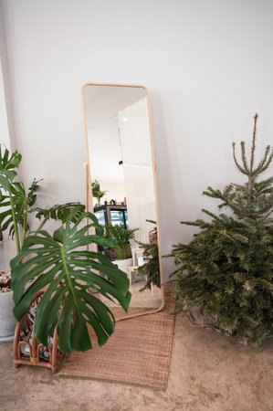 Minimalist style decorated with wooden floor mirror, green plant and mat in living roomの写真素材