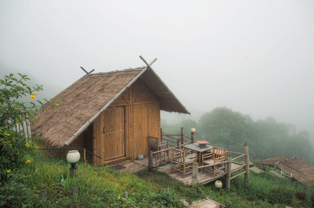 Wooden thatched hut resort in foggy on hill in tropical rainforest at morning