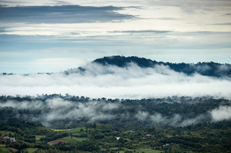 Scenery of foggy mountain in rainforest on rainy day in the morning at Khao Kho national park