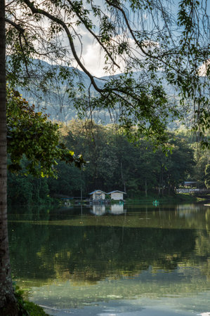 Building and tree branch hanging on Ang Kaew reservoir on sunny day at Chiang Maiの写真素材