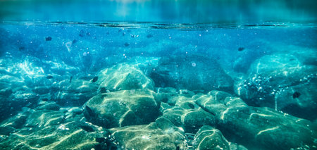 School of fish swimming on coral reef in tropical sea. Snorkeling underwaterの写真素材