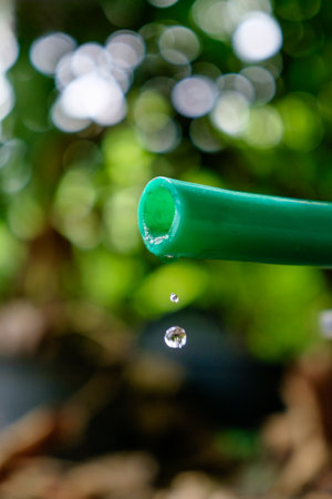 Water dropping from green rubber hose in the garden. Saving water conceptの写真素材