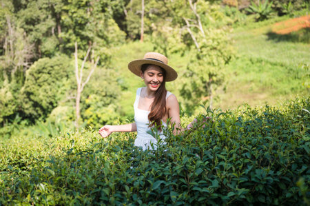 Attractive young asian woman in white dress enjoying in groove of tea plantation on highlandの写真素材