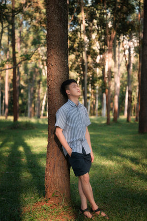 Young asian male leaning tranquil against pine tree in the forestの写真素材