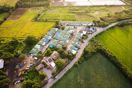 Aerial view of housing estate village with the road through rice field in countryside at suburbanの写真素材