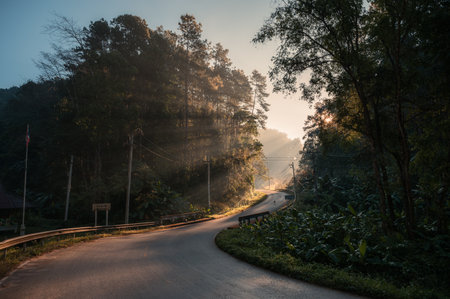 Sunlight through tropical rainforest on winding road in national park at countrysideの写真素材