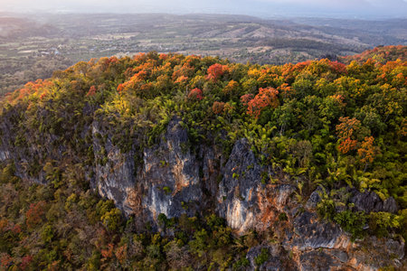 Aerial view of autumn forest on limestone mountain in national parkの写真素材
