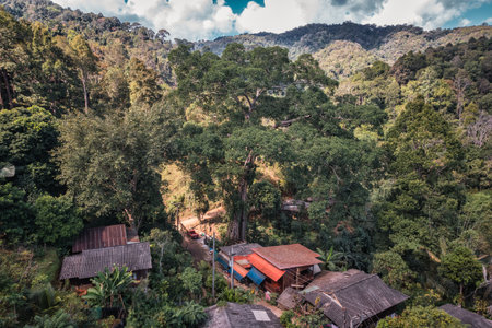 Aerial view of traditional rural village of tribe local people with large tree in tropical rainforest on countryside at national park. Chiang Dao, Chiang Mai, Thailandの写真素材