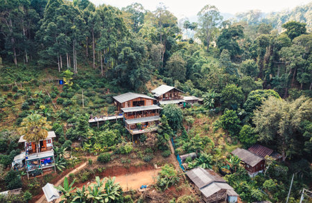 Aerial view of wooden resort homestay on hill in tropical rainforest on rural village at countrysideの写真素材