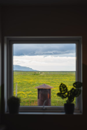 View of house window through horse in field on farmlandの写真素材