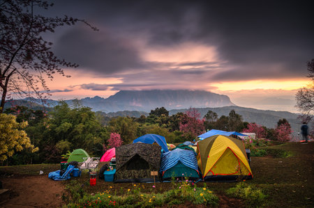 Colors tourist tents pitching waiting for the sunrise on Doi Luang Chiang Dao mountain with cloudy and spring forest in national park at San Pa Kia, Chiang Mai, Thailandの写真素材
