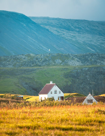 Picturesque of Icelandic wooden house glowing with sunlight on meadow and bird flying around in sunset on summer at Arnarstapi fishing village, Icelandの写真素材